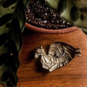 Vintage Boho camel ring dish